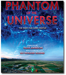 Phantom of the Universe